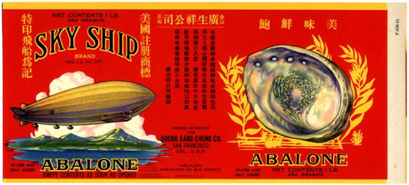 skyship_abalone