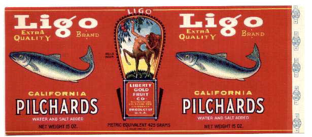 ligo_pilchards