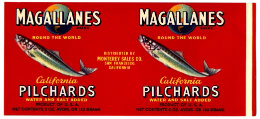 Magallanes_pilchards